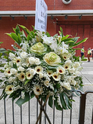 00000483-PHOTO-2023-04-01-08-50-25