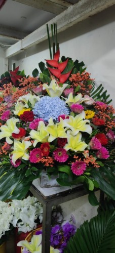 00000121-PHOTO-2023-03-31-20-46-44