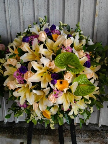 00000472-PHOTO-2023-04-01-08-50-22