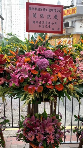 00000497-PHOTO-2023-04-01-08-50-29