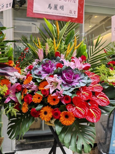 00000198-PHOTO-2023-03-31-20-47-05