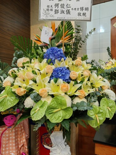 00000382-PHOTO-2023-04-01-08-45-15