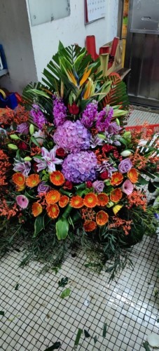 00000366-PHOTO-2023-04-01-08-45-02