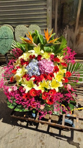 00000180-PHOTO-2023-03-31-20-47-00