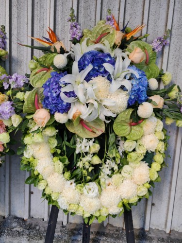 00000461-PHOTO-2023-04-01-08-50-15