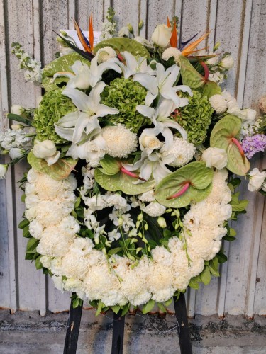 00000463-PHOTO-2023-04-01-08-50-16