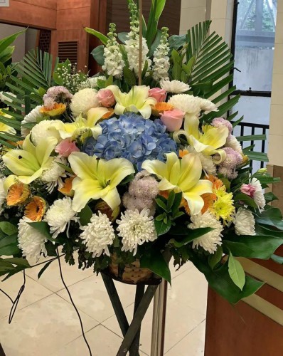 00000252-PHOTO-2023-03-31-20-57-09