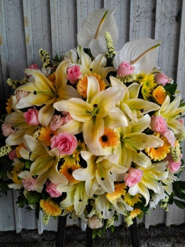 00000474-PHOTO-2023-04-01-08-50-22