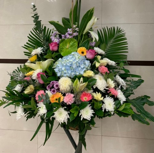 00000249-PHOTO-2023-03-31-20-57-07