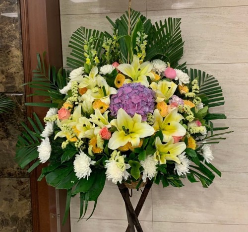 00000214-PHOTO-2023-03-31-20-56-48