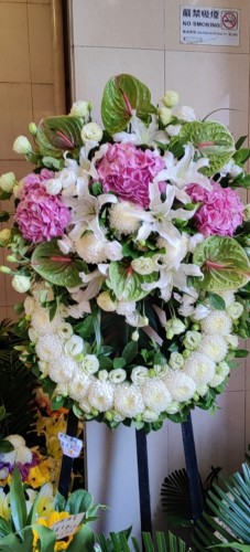 00000475-PHOTO-2023-04-01-08-50-22