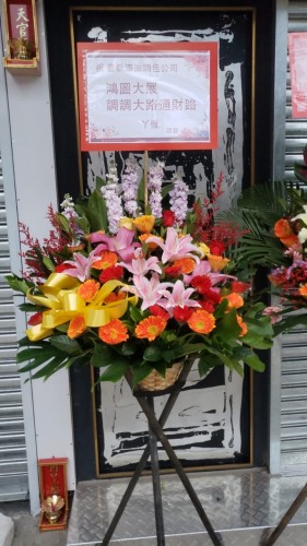 00000122-PHOTO-2023-03-31-20-46-44