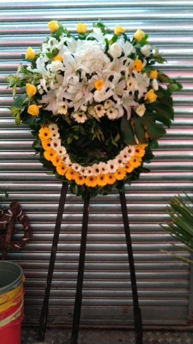 00000579-PHOTO-2023-04-01-09-00-19