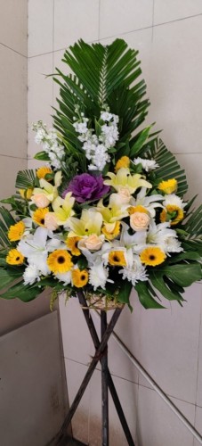 00000535-PHOTO-2023-04-01-08-59-36