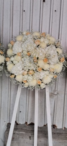 00000554-PHOTO-2023-04-01-09-00-13