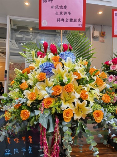 00000192-PHOTO-2023-03-31-20-47-04