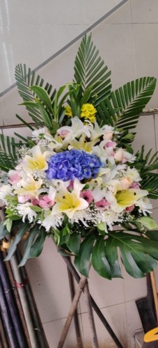 00000531-PHOTO-2023-04-01-08-59-35