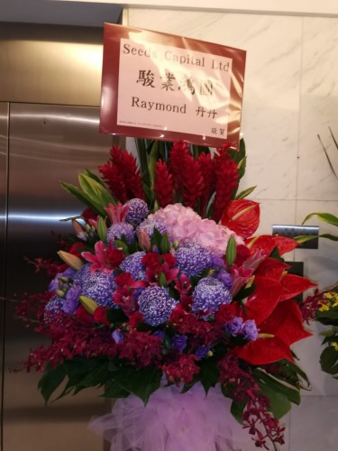 00000595-PHOTO-2023-04-01-09-00-24