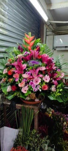 00000505-PHOTO-2023-04-01-08-59-28