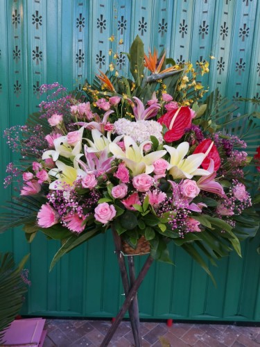 00000562-PHOTO-2023-04-01-09-00-15