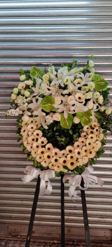 00000538-PHOTO-2023-04-01-08-59-37