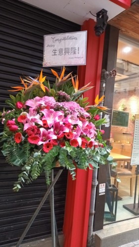 00000254-PHOTO-2023-03-31-20-57-09