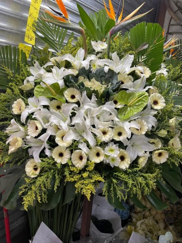 00000300-PHOTO-2023-04-01-08-44-31