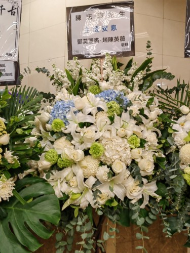 00000106-PHOTO-2023-03-31-20-46-41