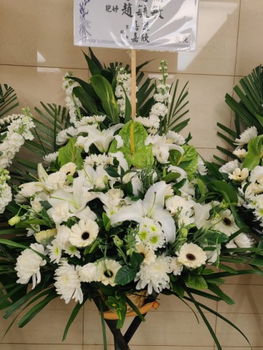 00000159-PHOTO-2023-03-31-20-46-53