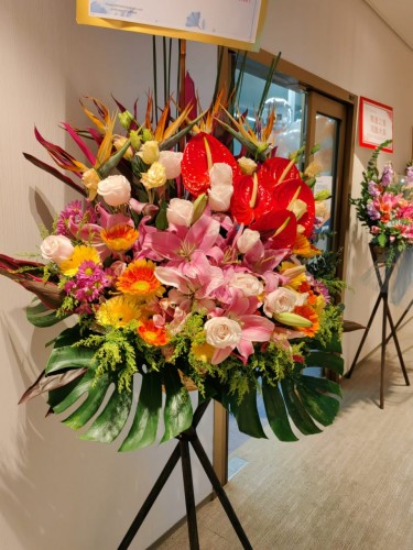 00000413-PHOTO-2023-04-01-08-49-50