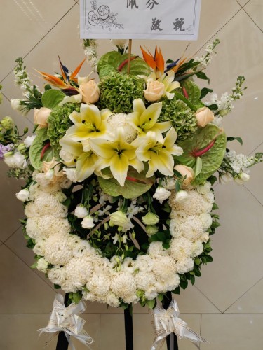 00000433-PHOTO-2023-04-01-08-50-00