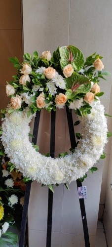 00000532-PHOTO-2023-04-01-08-59-36