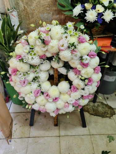 00000479-PHOTO-2023-04-01-08-50-24