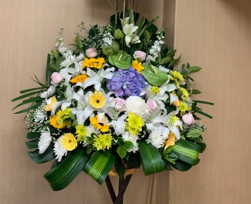 00000250-PHOTO-2023-03-31-20-57-08