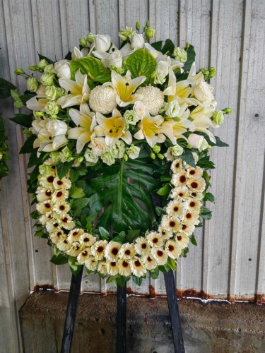 00000468-PHOTO-2023-04-01-08-50-20