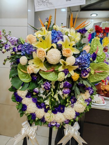 00000432-PHOTO-2023-04-01-08-49-58