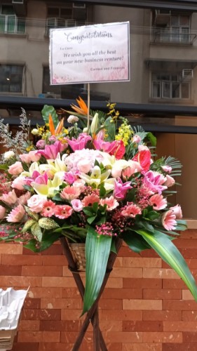 00000263-PHOTO-2023-03-31-20-57-12