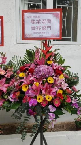 00000135-PHOTO-2023-03-31-20-46-47