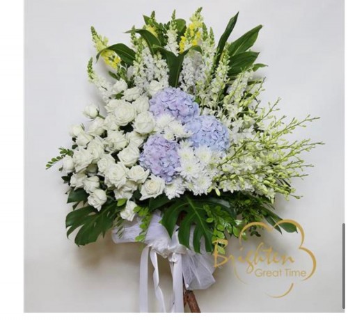 00000299-PHOTO-2023-03-31-20-57-22