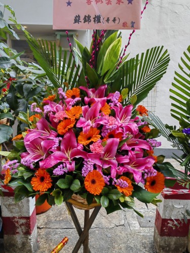 00000190-PHOTO-2023-03-31-20-47-03