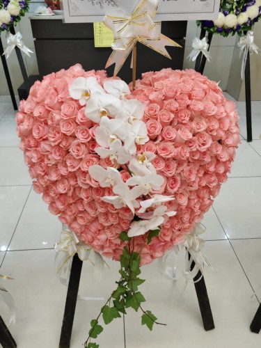 00000424-PHOTO-2023-04-01-08-49-55