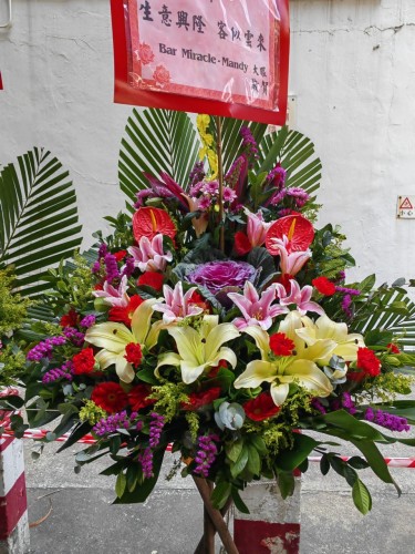 00000187-PHOTO-2023-03-31-20-47-02