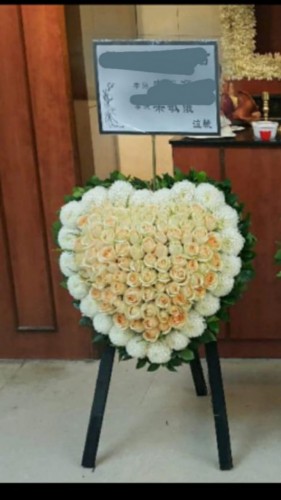 00000309-PHOTO-2023-04-01-08-44-39