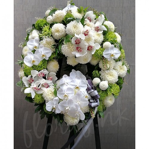 00000292-PHOTO-2023-03-31-20-57-20