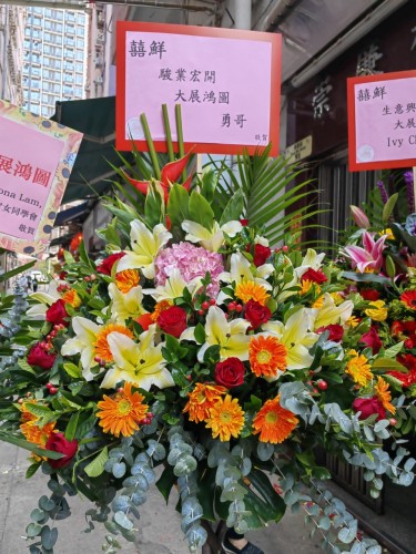 00000194-PHOTO-2023-03-31-20-47-04