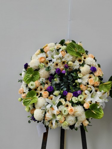 00000415-PHOTO-2023-04-01-08-49-51