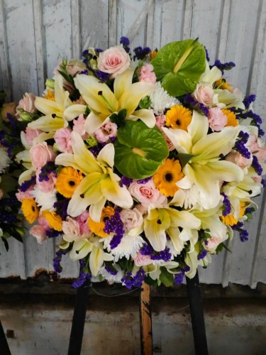 00000473-PHOTO-2023-04-01-08-50-22