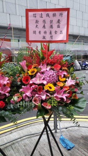 00000224-PHOTO-2023-03-31-20-56-52