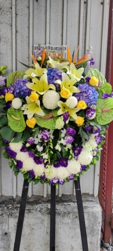 00000458-PHOTO-2023-04-01-08-50-12