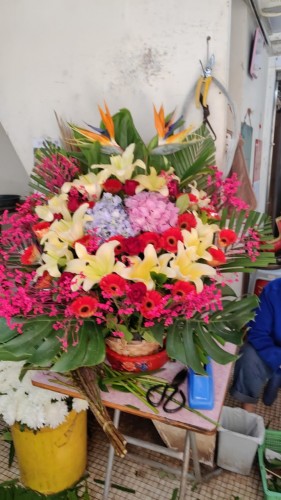 00000182-PHOTO-2023-03-31-20-47-01